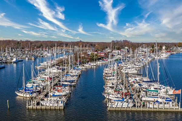 Boats in the harbor